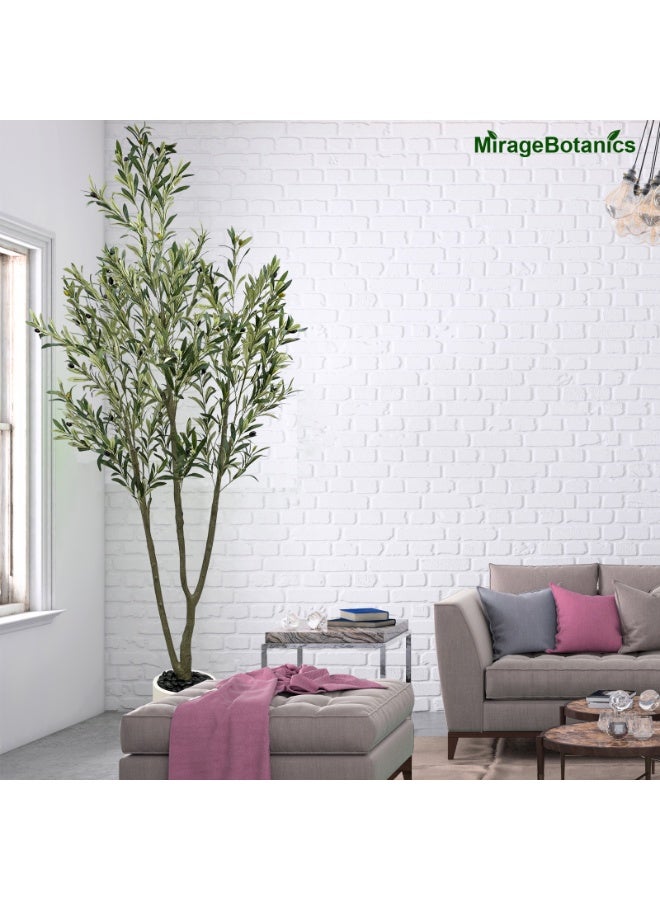 MirageBotanics 7ft Artificial Olive Trees Indoor,Faux Olive Tree Lifelike Natural 3 Trunks with White Planter Pot, Artificial Plants Lifelike Fruits for Office Meeting Room Living Room Indoor Outdoor Home Decor - Image 2